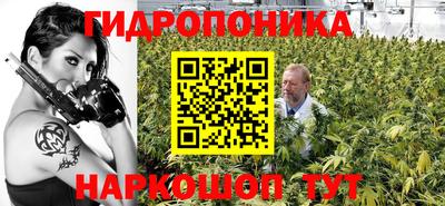 мдпв Дубна